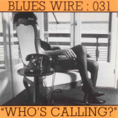 Because of You - Blues Wire : 031