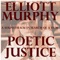 If Poets Were King - Elliott Murphy lyrics