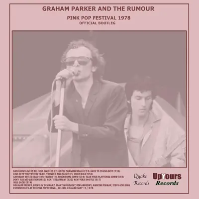 Pink Pop Festival 1978 - Graham Parker
