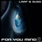 For You Mind - Laaf & SUSO lyrics