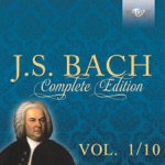 Musica Amphion & Pieter-Jan Belder - Brandenburg Concerto No. 3 in G Major, BWV 1048: II. Adagio