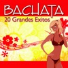 Bachata - 20 Grandes Éxitos, 2008