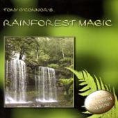 Rainforest Magic artwork