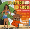 Um Cavaquinho no Pagode