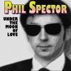 Phil Spector - Shake It up Baby