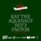 Can't Sleep (feat. Kay the Aquanaut & Def3) - Factor lyrics