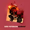 Burnin' - Single album lyrics, reviews, download