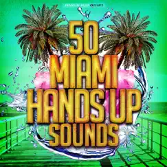 50 Miami Hands Up Sounds by Various Artists album reviews, ratings, credits