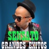 Grandes Éxitos, 2015