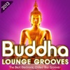 Buddha Lounge Grooves 2013 - The Best Electronic Chilled Bar Grooves