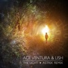 The Light (Astrix Remix) - Single