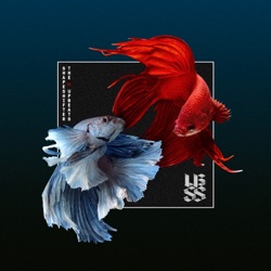 Shapeshifter & The Upbeats - Solitaire