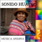 Sonido Huayno - Música Andina artwork