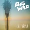 La Brisa - Big Wild lyrics