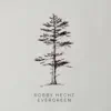Evergreen - EP album lyrics, reviews, download