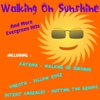 Walking on Sunshine and More Evergreen Hits, 2013