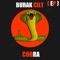 Cobra - Burak Cilt lyrics