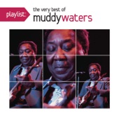 Muddy Waters - I'm Ready