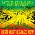 Herb Must Legalize Now (feat. Chronixx) - Single album cover