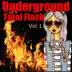 Underground Total Flash, Vol 1 album cover