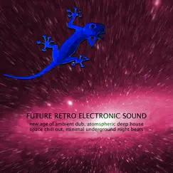 Future Retro Electronic Sound -New Age of Ambient Dub, Atomspheric Deep House Space Chill out, Minimal Underground Night Beats by Various Artists album reviews, ratings, credits