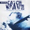 Catch the Wave - Bateen lyrics