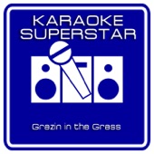 Grazin in the Grass (Karaoke Version) [Originally Performed By Hugh Masakela] artwork