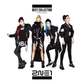 2NE1 BEST COLLECTION -Korea Edition- artwork