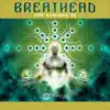 Stream & download Seize the Day (Breathead Remix)