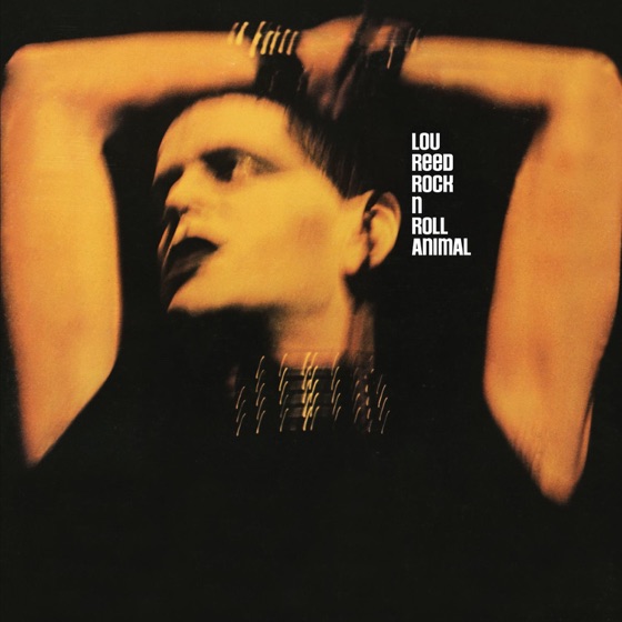 Cover artwork for Rock 'n' Roll