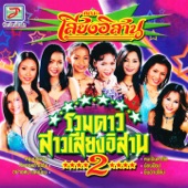 รวมดาวสาวเสียงอิสาน, Vol. 2 artwork