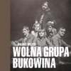 Kolory Muzyki - Wolna Grupa Bukowina, 2014