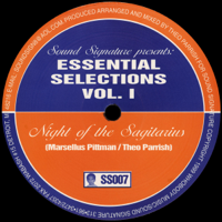 Theo Parrish & MARCELLUS PITTMAN - Essential Selections, Vol. 1 artwork