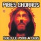 Llegamos los Pibes Chorros - Pibes Chorros lyrics