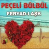 Feryad-ı Aşk