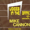 Voices in the Dark - Single