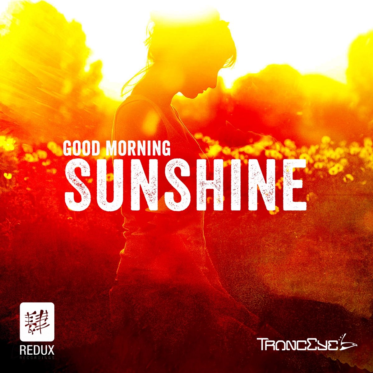 Morning shine. Good morning Sunshine. Good morning my Sunshine. Good morning Sunshine картинки. TRANCEYE good morning Sunshine 2014 Mix.