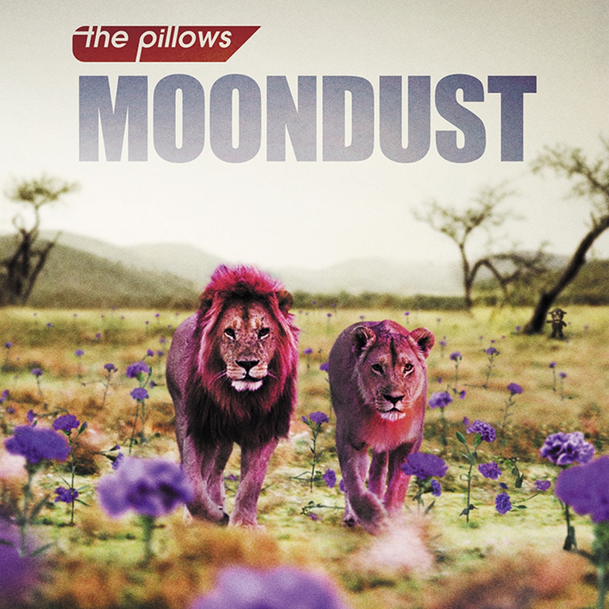 ムーンダスト Album Cover By The Pillows