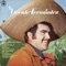 Hermoso Cariño - Vicente Fernández lyrics