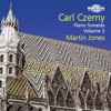 Martin Jones - Andante and Allegro: I. Andante espressivo