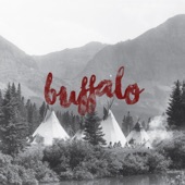 Buffalo artwork