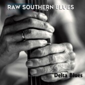 Delta Blues: Raw Southern Blues artwork