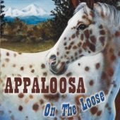 Appaloosa - Wheelbarrow Blues