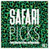 Safari Picks, Vol. 2 - Finest Selection of Deep and House Music