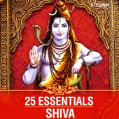 25 Essentials - Shiva artwork