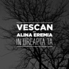 In dreapta ta (feat. Alina Eremia) - Single