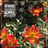 Island Moods Nu-Disco Chill artwork