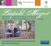 Symphony in G Major, LMV VII:G16 "New Lambach": I. Allegro artwork