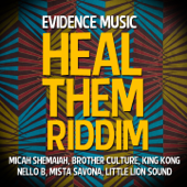 Heal Them Riddim - EP - Various Artists & Little Lion Sound