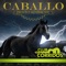 Mi Caballo Patas Blancas - Paquito Herrera lyrics
